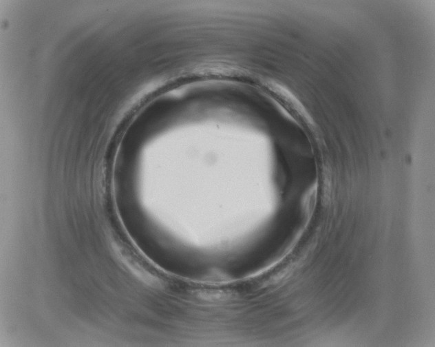 X0000081490439200701262058