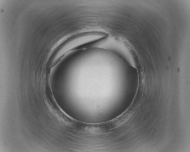 X0000081490440200701262058