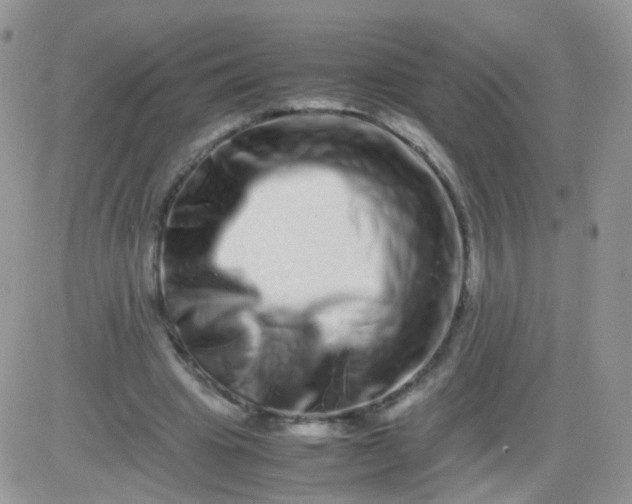 X0000081490441200701262058