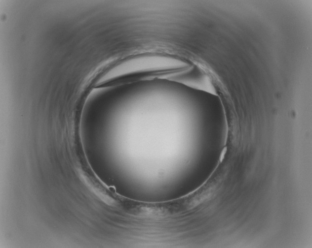 X0000081490442200701262058