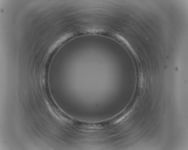 X0000081490443200701262058