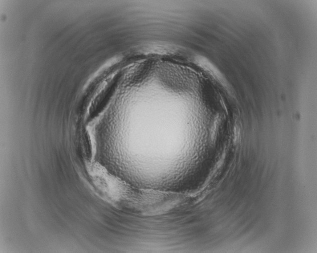 X0000081490444200701262058