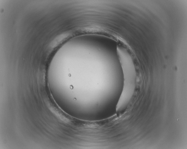 X0000081490446200701262058