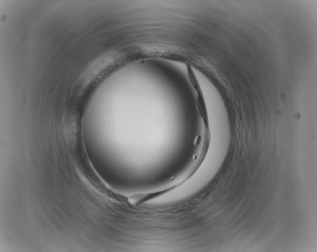 X0000081490448200701262058