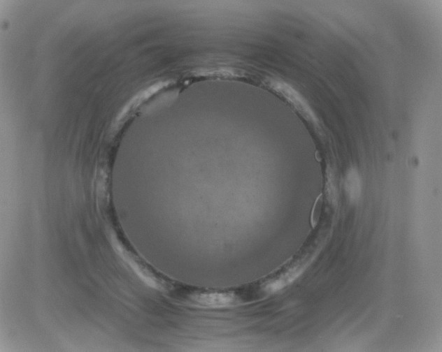 X0000081490449200701262058