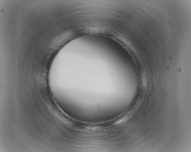 X0000081490450200701262058