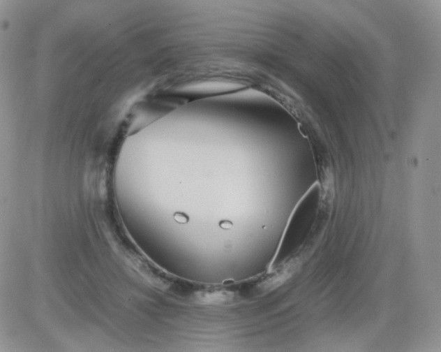 X0000081490452200701262058