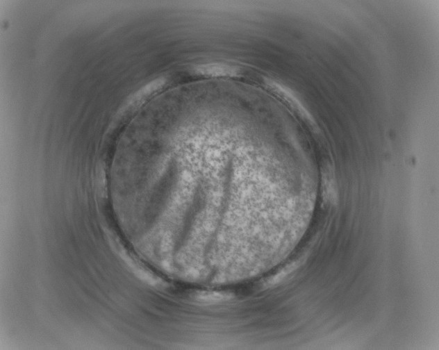 X0000081490453200701262058