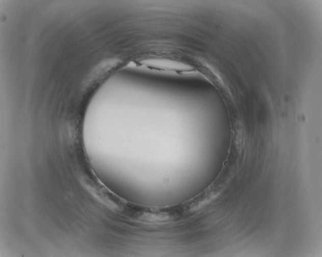 X0000081490455200701262058