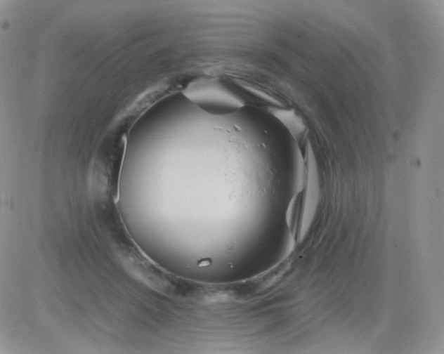 X0000081490456200701262058