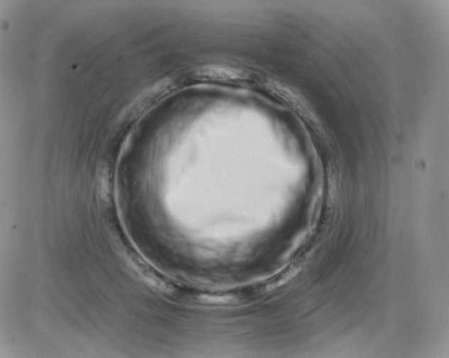 X0000081490457200701262058