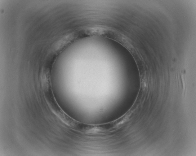 X0000081490460200701262058