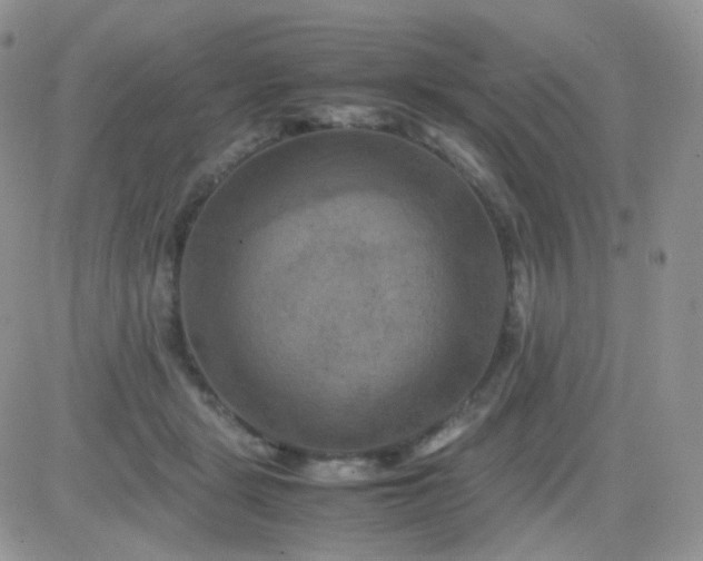 X0000081490461200701262058