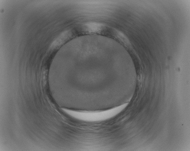 X0000081490462200701262058