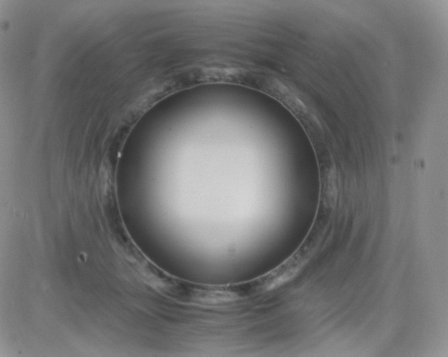 X0000081490463200701262058