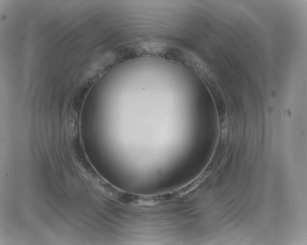 X0000081490464200701262058