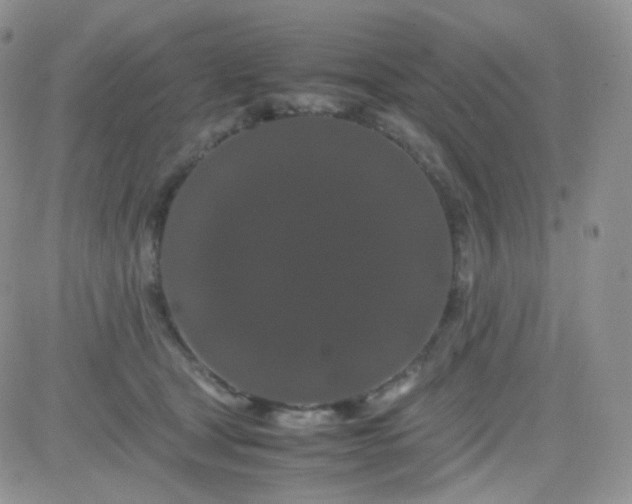 X0000081490465200701262058