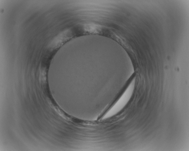 X0000081490466200701262058