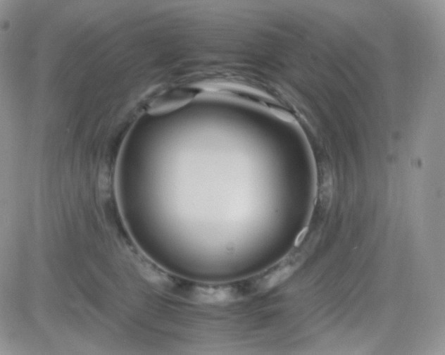 X0000081490469200701262058