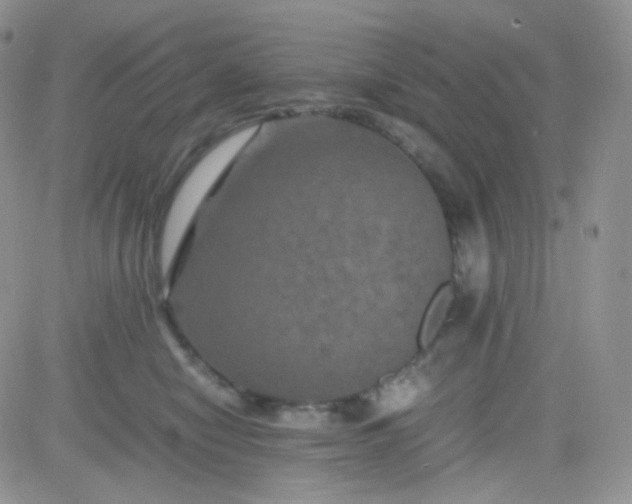 X0000081490470200701262058