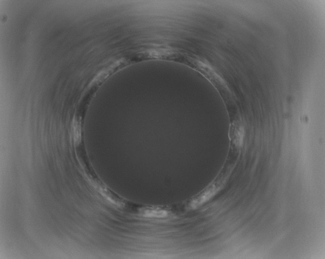 X0000081490471200701262058