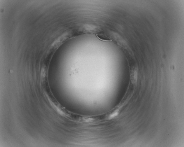 X0000081490472200701262058