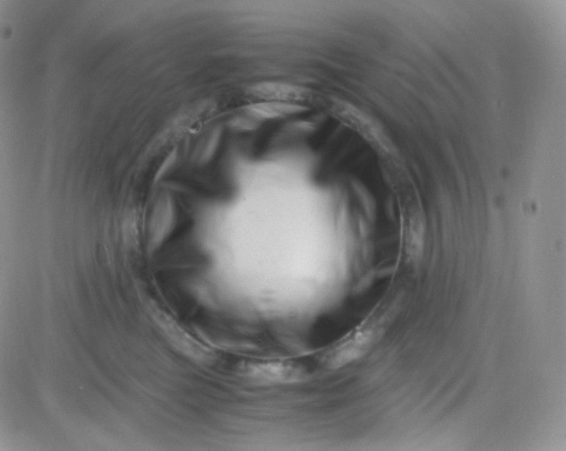 X0000081490473200701262058