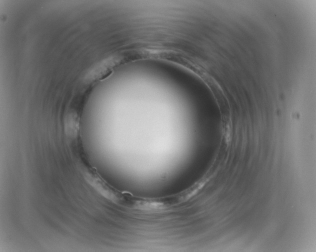 X0000081490476200701262058