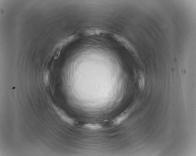 X0000081490477200701262058