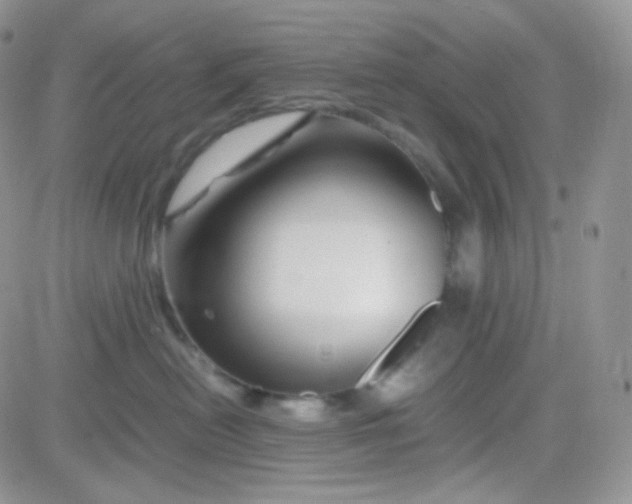 X0000081490478200701262058