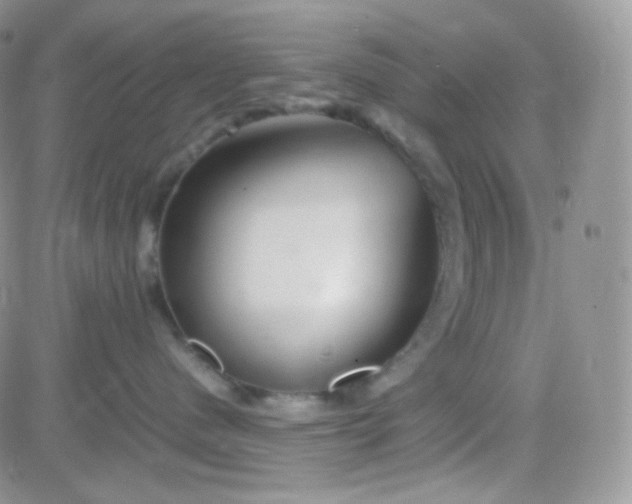 X0000081490480200701262058