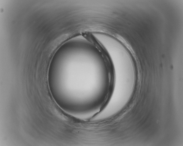 X0000081490481200701262057