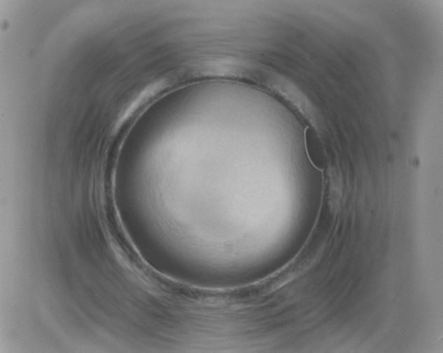 X0000081490482200701262057