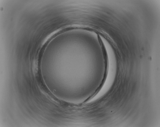 X0000081490484200701262057