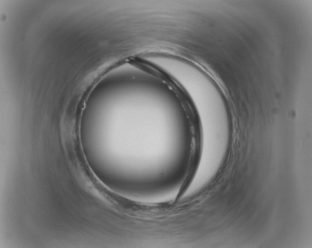 X0000081490485200701262057