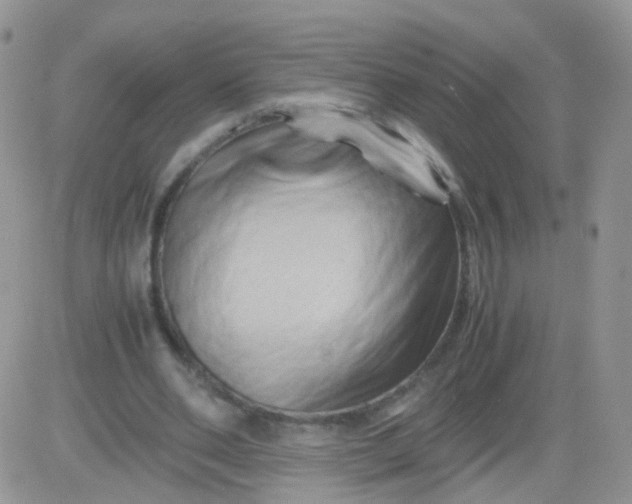 X0000081490486200701262057