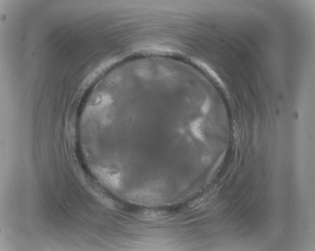 X0000081490487200701262057