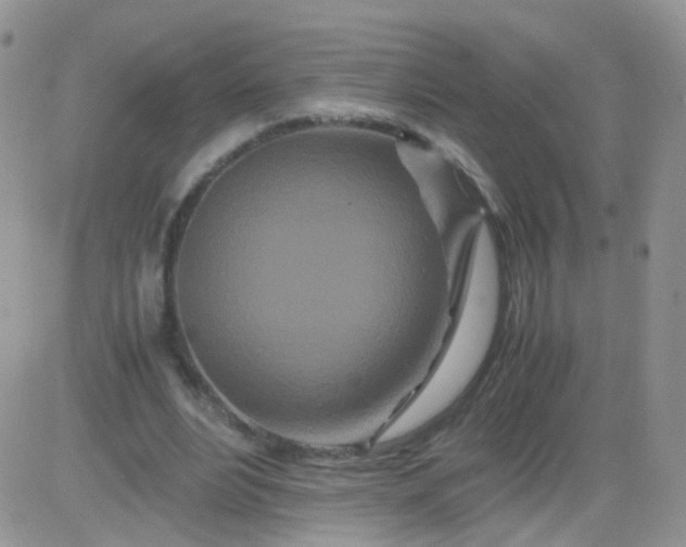 X0000081490488200701262057