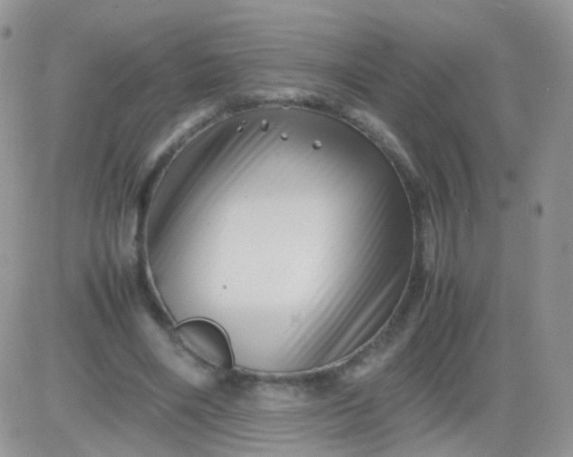 X0000081490490200701262057