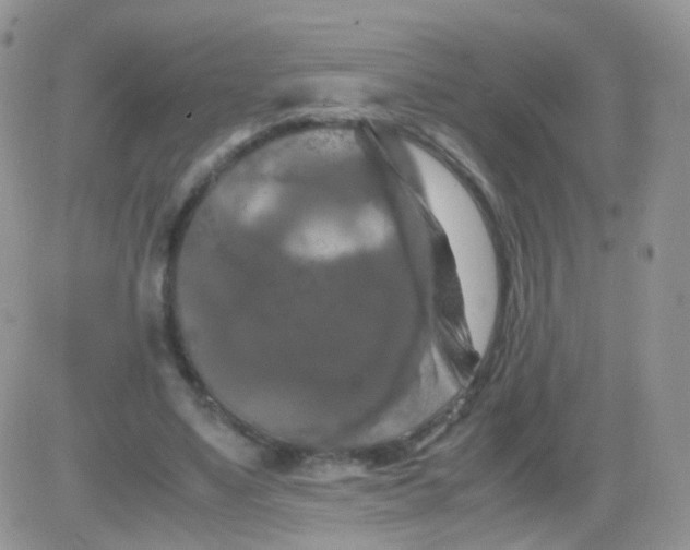 X0000081490491200701262057