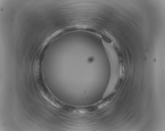 X0000081490492200701262057