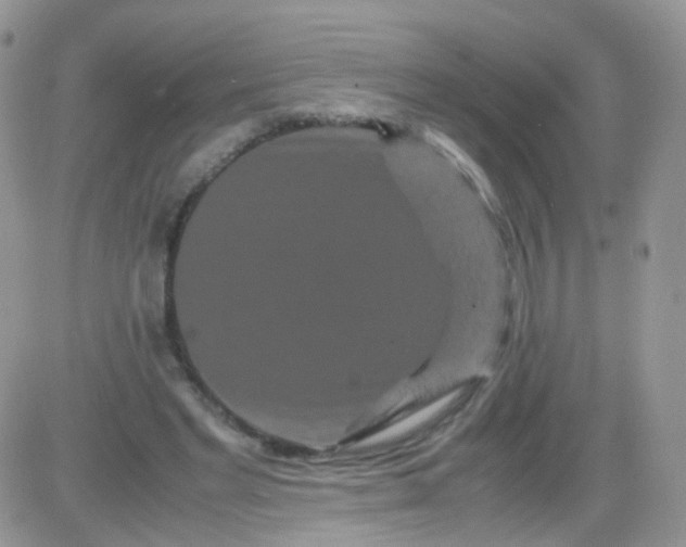 X0000081490493200701262057