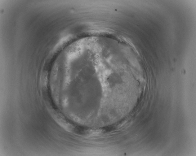 X0000081490495200701262057