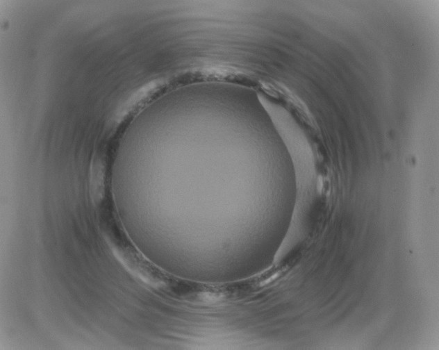 X0000081490496200701262057