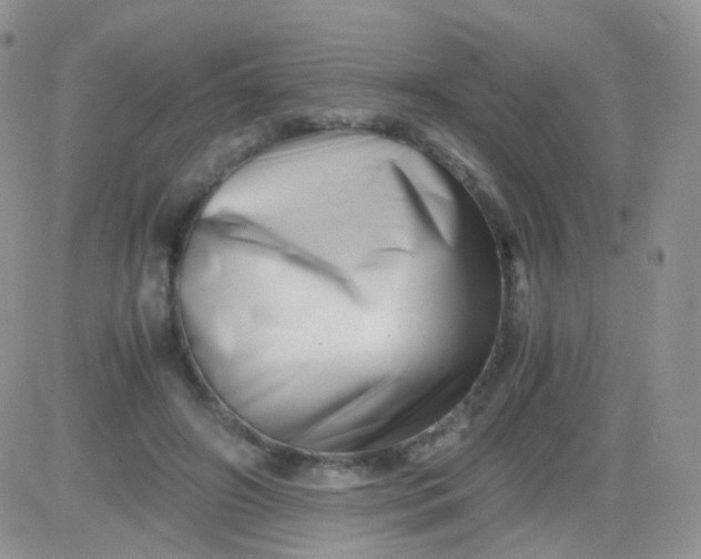 X0000081490498200701262057