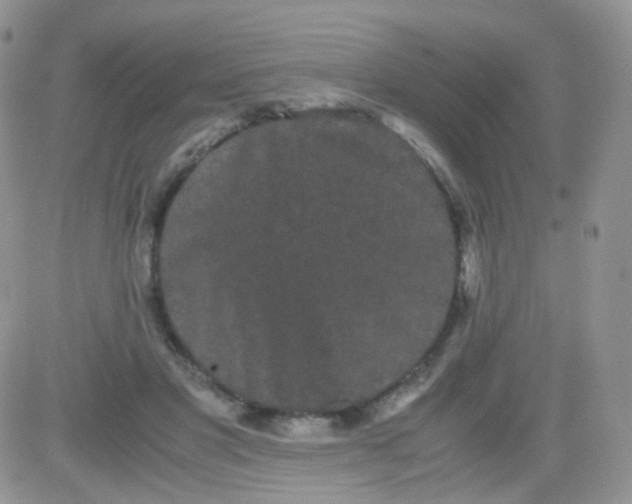 X0000081490501200701262057