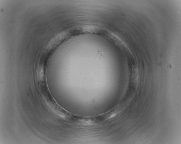 X0000081490502200701262057