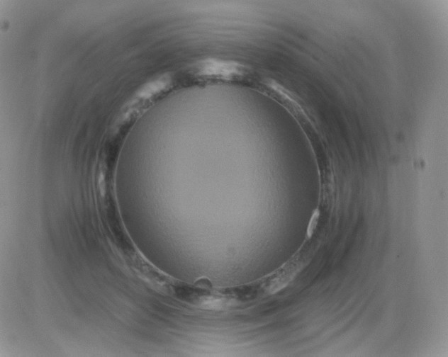 X0000081490504200701262057