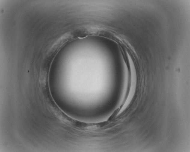 X0000081490505200701262057