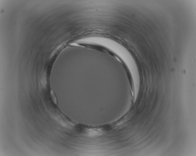 X0000081490508200701262057